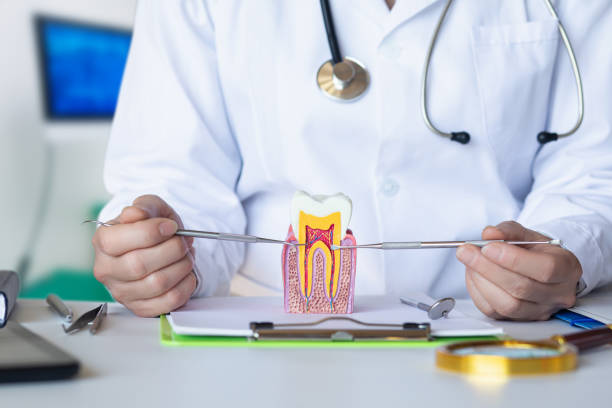 Best Emergency Orthodontic Repairs in Ingalls Park, IL